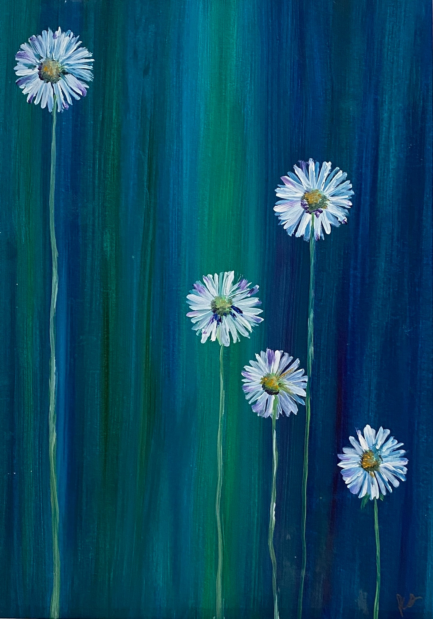 daisies