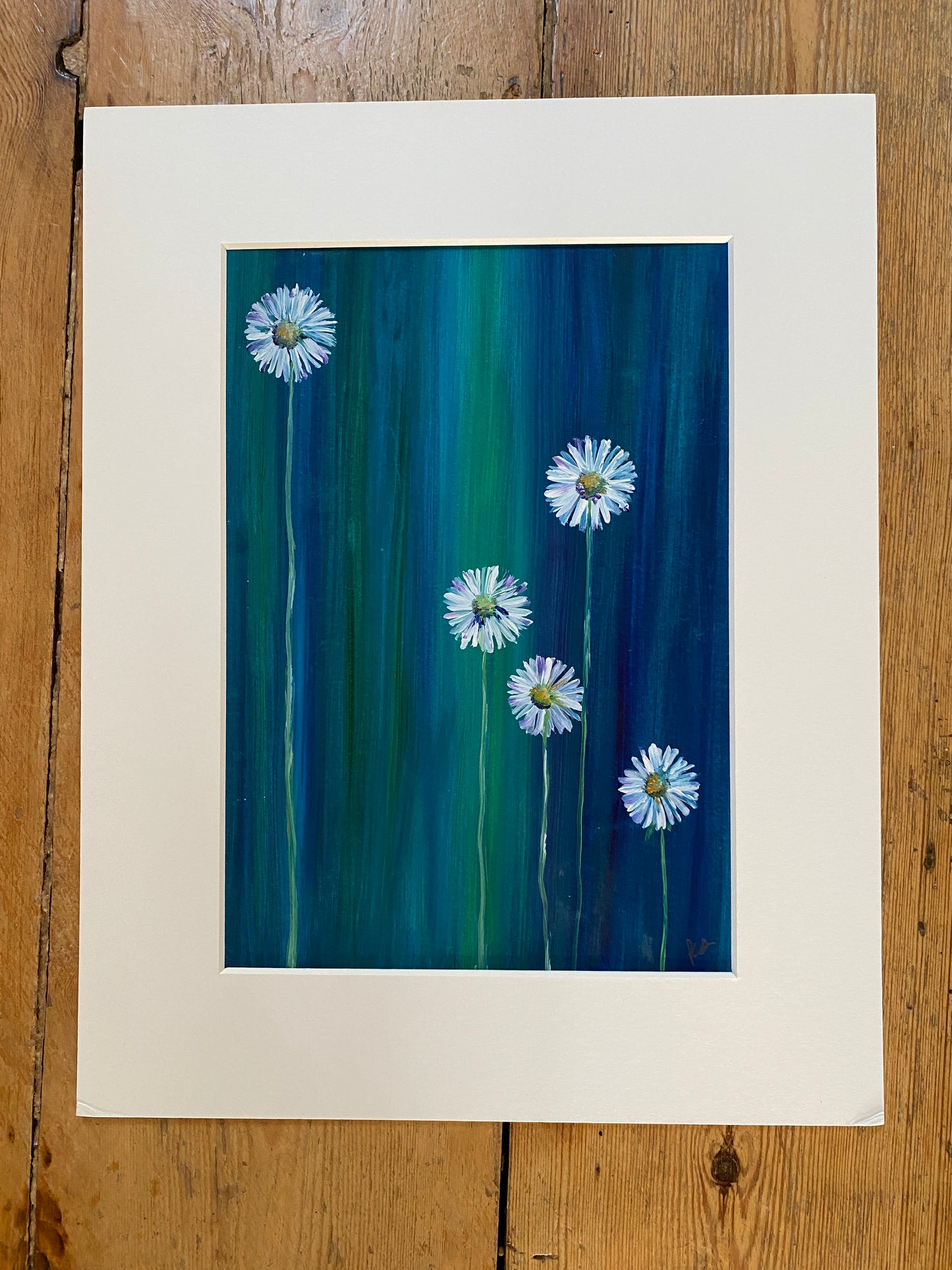 daisies
