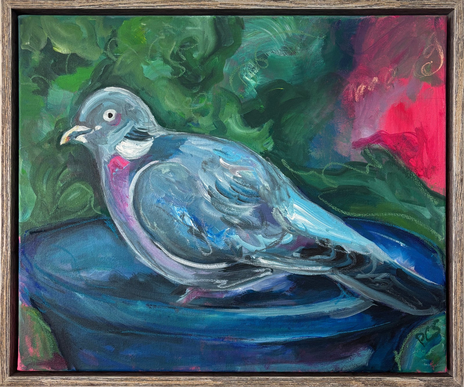 wood pigeon in the birdbath framed original painting