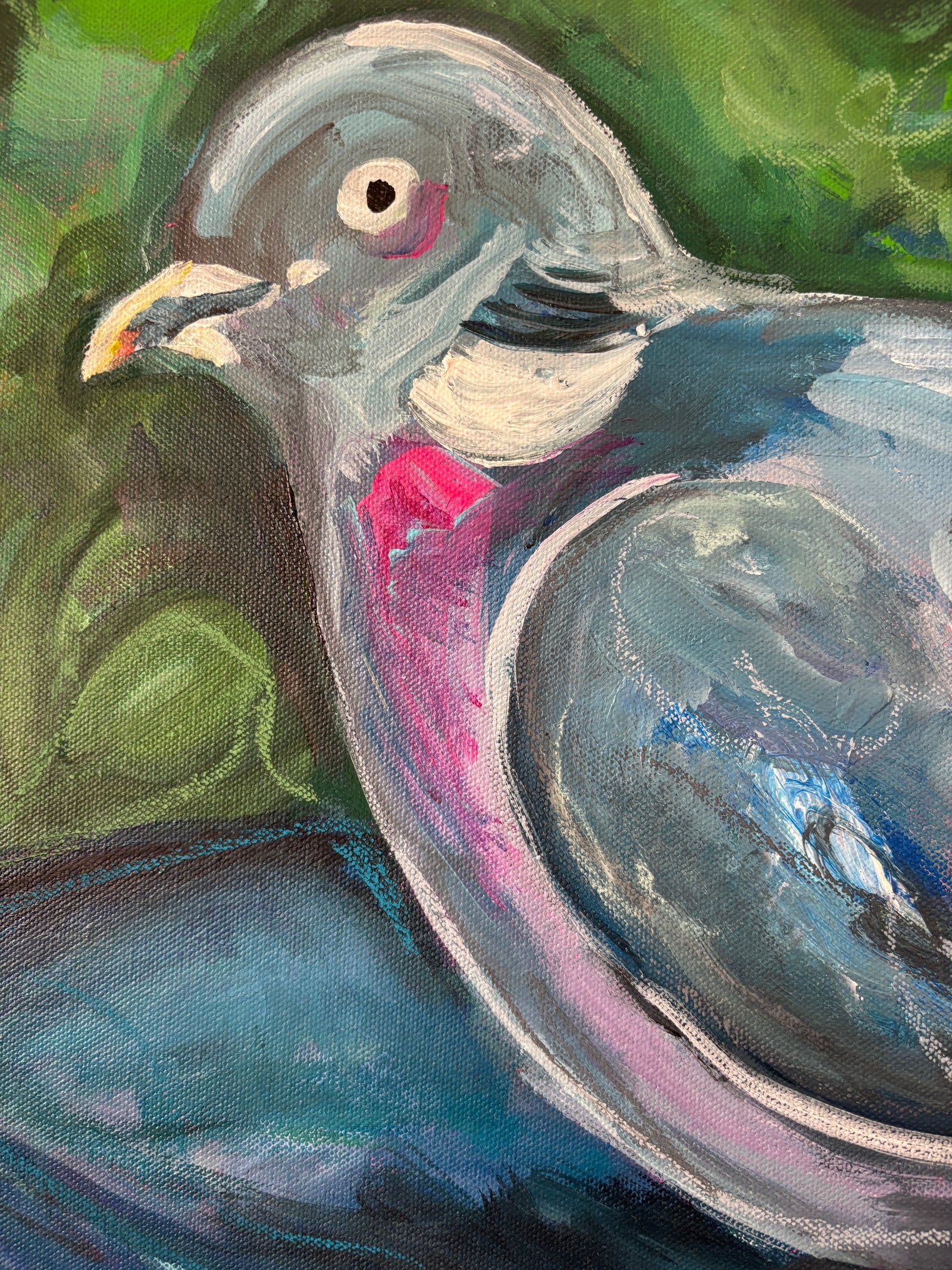 wood pigeon in the birdbath framed original painting